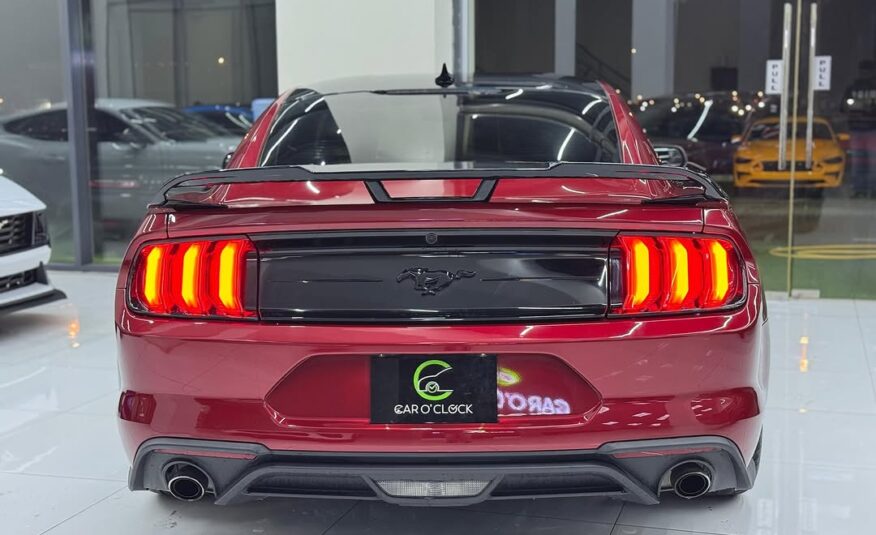 FORD MUSTANG ECOBOOST 2020 2.3L i4 Flexible Down-Payment