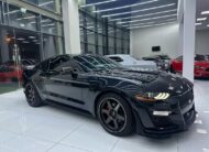 FORD MUSTANG ECOBOOST 2020 2.3l i4 Flexible Down-Payment