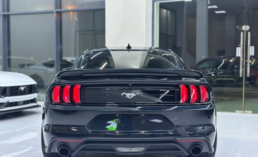 FORD MUSTANG ECOBOOST 2020 2.3l i4 Flexible Down-Payment