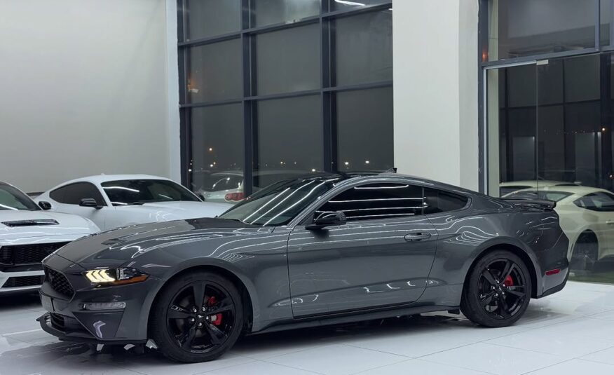 FORD MUSTANG ECOBOOST 2022Flexible Down-Payment