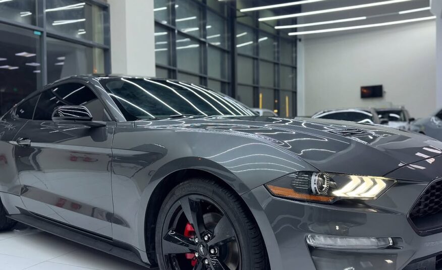 FORD MUSTANG ECOBOOST 2022Flexible Down-Payment