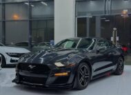 FORD MUSTANG ECOBOOST 2023 2.3L i4Flexible Down-Payment